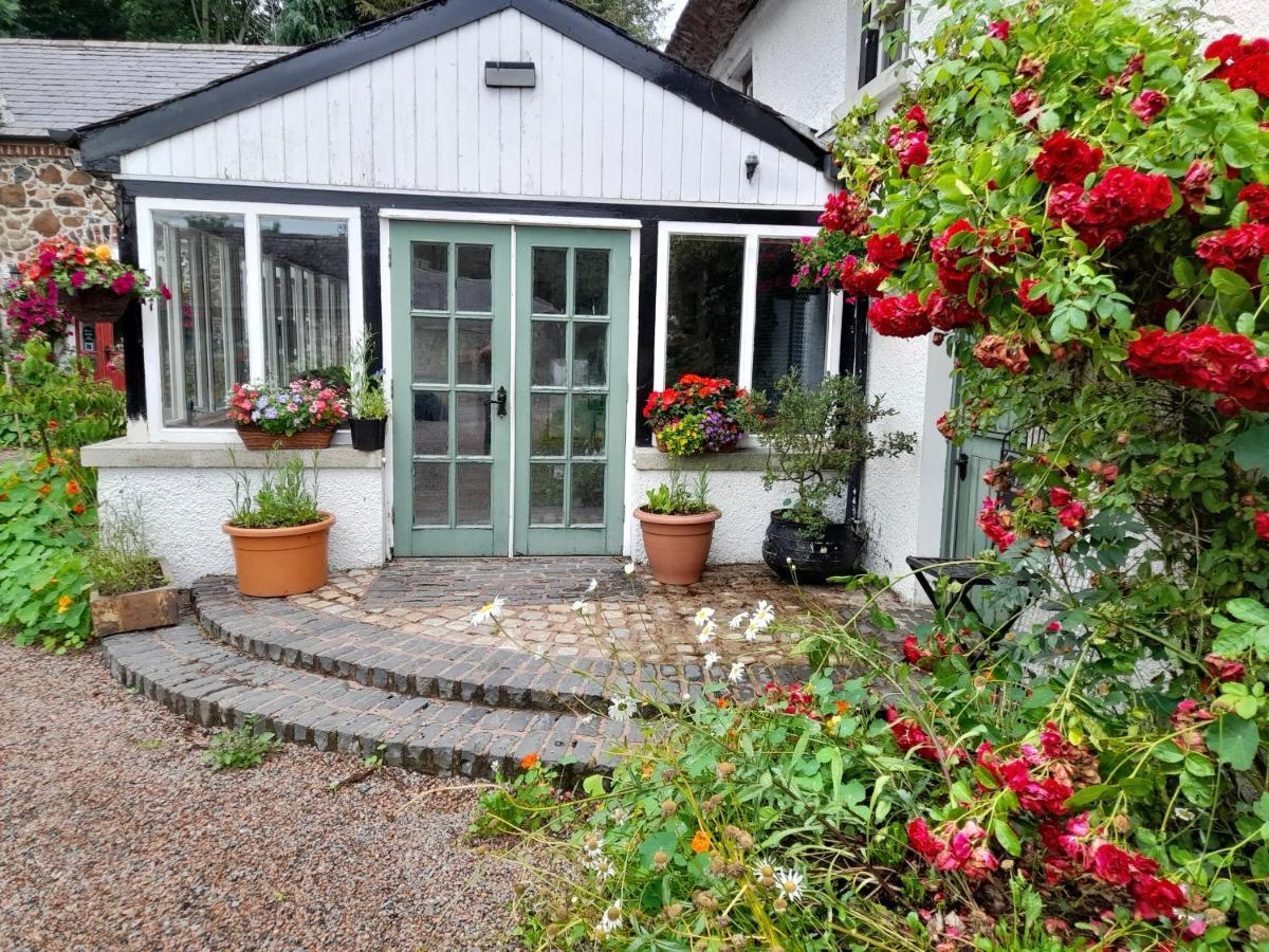 Berwickhall Apartment Craigavon Eksteriør bilde